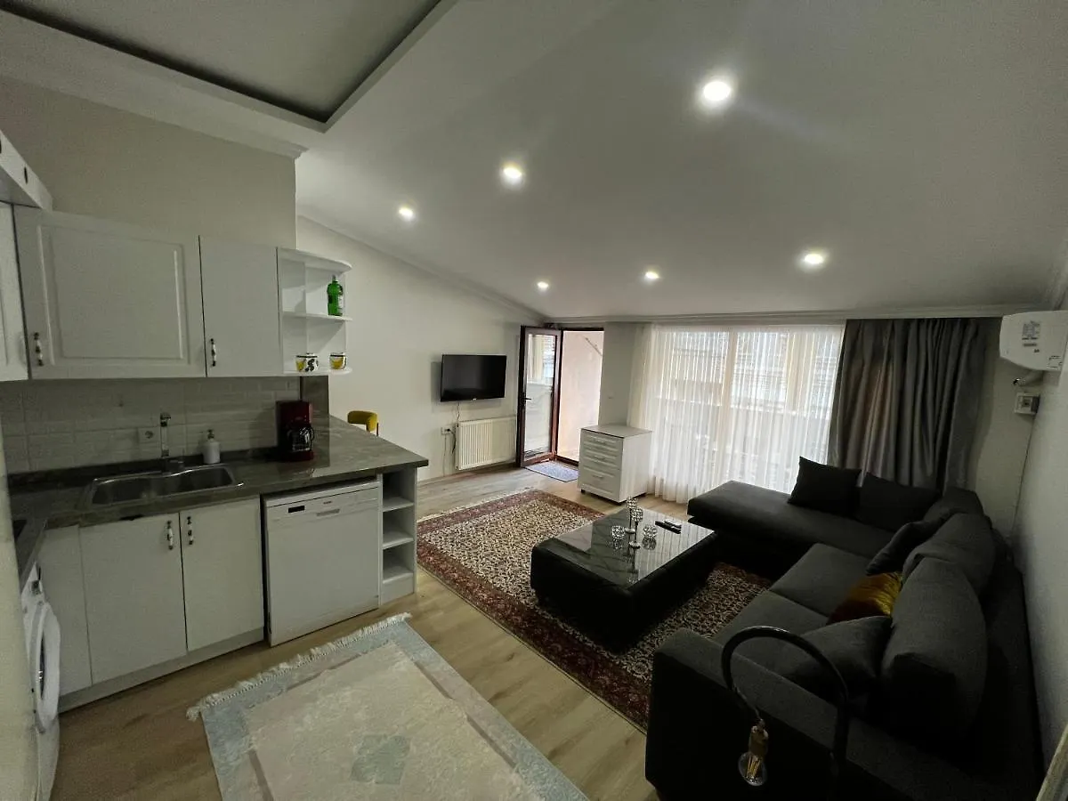 Amazing 1 Bedroom Penthouse Apartment With Large Terrace In Sisli Istanbul 0*,