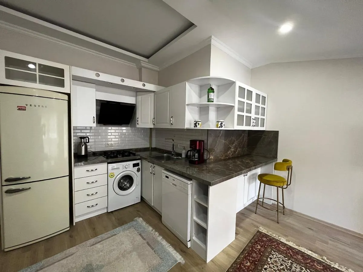 Amazing 1 Bedroom Penthouse Apartment With Large Terrace In Sisli 伊斯坦布尔